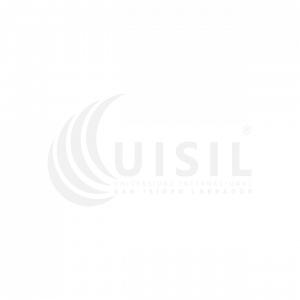 Uisil