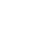 Logo METALDOM
