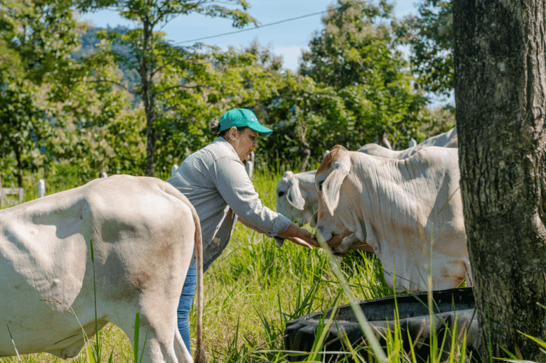 Fotografía para FAO-PNUD Mujeres ganaderas