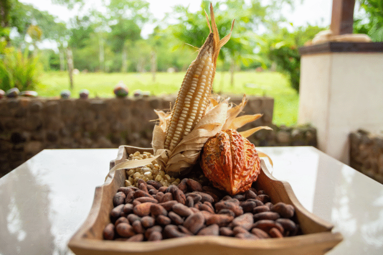 Fotografías Evento Festival Nacional de las Artes