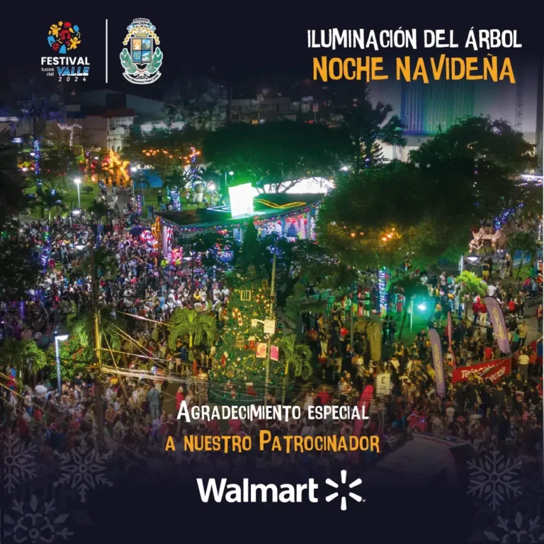 Fotos evento de Festival Luces del Valle 2024