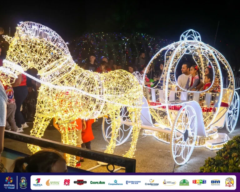 Fotos evento de Festival Luces del Valle 2024